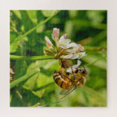 Honingbijen en klaver legpuzzel (Horizontaal)