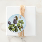 Honingbijen en Klaverkruik Bedankjes Labels (In situ)