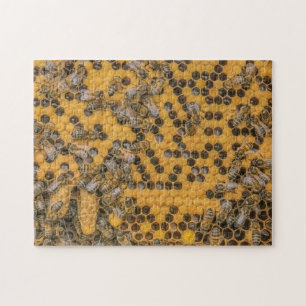 Honingbijen en koningin-cellen in bijenkorf  Bijen Legpuzzel