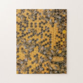 Honingbijen en koninginnen in bijenkorven | Bijent Legpuzzel (Verticaal)