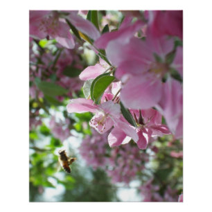 Honingbijen en krab Apple Blossom Poster