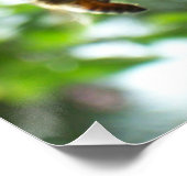 Honingbijen en krab Apple Blossom Poster (Hoek)