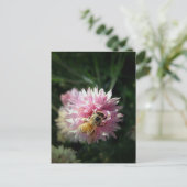 Honingbijen en roze ventiel briefkaart (Staand voorkant)
