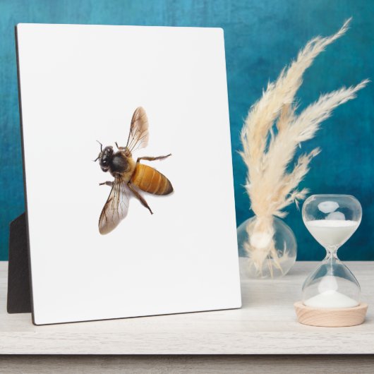 Honingbijen Fotoplaat (Zijkant)