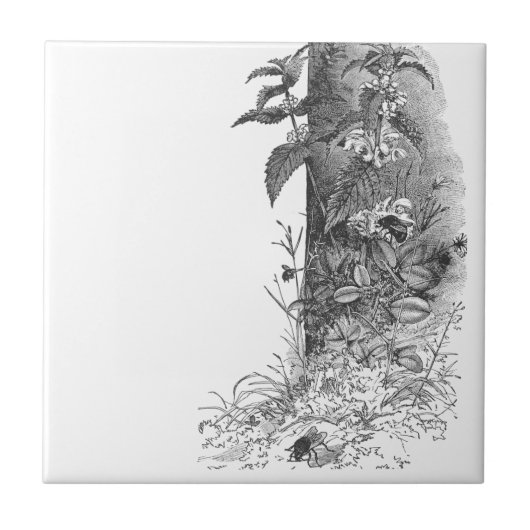 Honingbijen Frequent bloeiend Munt Tegeltje (Voorkant)