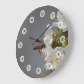 Honingbijen Grote Klok (Hoek)