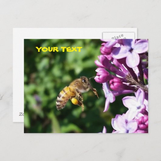 Honingbijen houden van Lila polen Briefkaart (Voorkant / Achterkant)