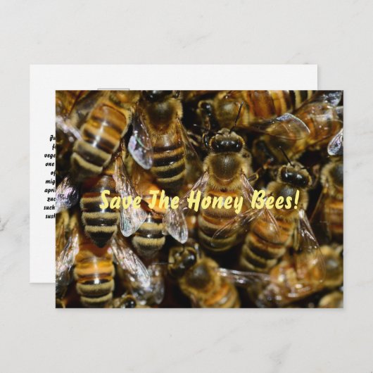 Honingbijen in de Hive Briefkaart (Voorkant / Achterkant)