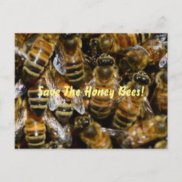 Honingbijen in de Hive Briefkaart