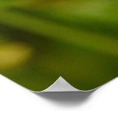 Honingbijen in de vlucht poster (Hoek)