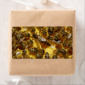 Honingbijen in Hive met koningin in midden Etiket (Insitu)