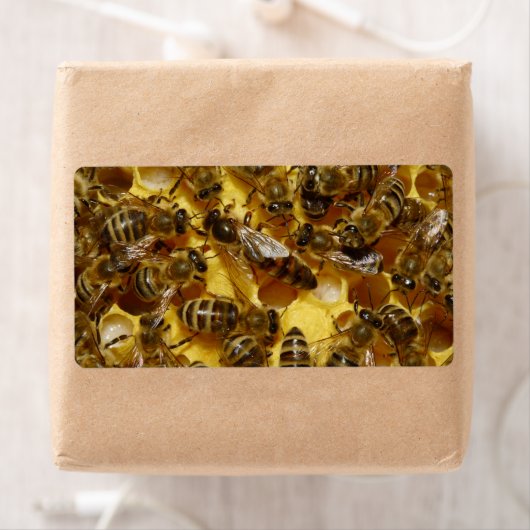 Honingbijen in Hive met koningin in midden Etiket (Insitu)