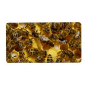 Honingbijen in Hive met koningin in midden Etiket (Voorkant)