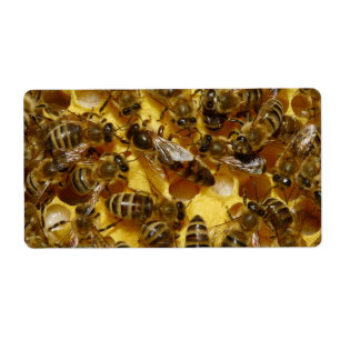 Honingbijen in Hive met koningin in midden Etiket