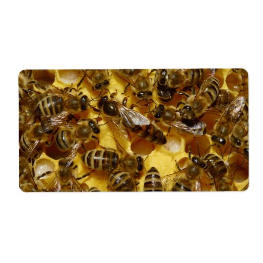 Honingbijen in Hive met koningin in midden Etiket (Voorkant)