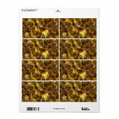Honingbijen in Hive met koningin in midden Etiket (Full Sheet)