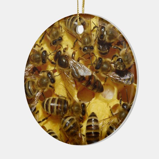 Honingbijen in Hive met koningin in midden Keramisch Ornament (Links)