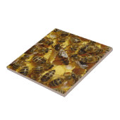 Honingbijen in Hive met koningin in midden Tegeltje (Zijkant)