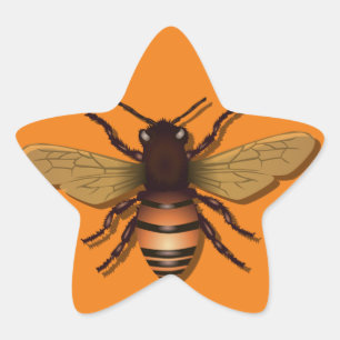 honingbijen-insectenvliegenhoning ster sticker