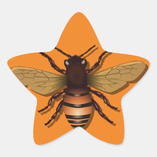 honingbijen-insectenvliegenhoning ster sticker (Voorkant)
