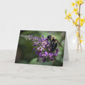 Honingbijen, kaart (Gele Bloem)