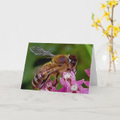 Honingbijen Kaart (Gele Bloem)