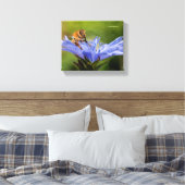 Honingbijen op de bloeiende radicchio canvas afdruk (Insitu (Slaapkamer))