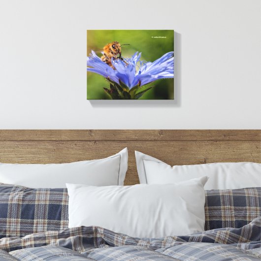 Honingbijen op de bloeiende radicchio canvas afdruk (Insitu (Slaapkamer))