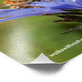 Honingbijen op de bloeiende radicchio foto afdruk (Hoek)