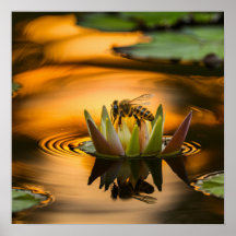 Honingbijen op de ventiel