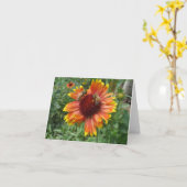 Honingbijen op deken bloem kaart (Gele Bloem)