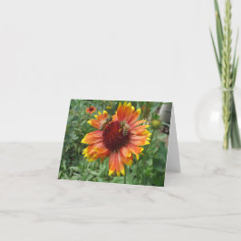Honingbijen op deken bloem kaart