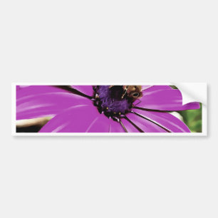 Honingbijen op een Paarse Afrikaanse Daisy Art Bumpersticker
