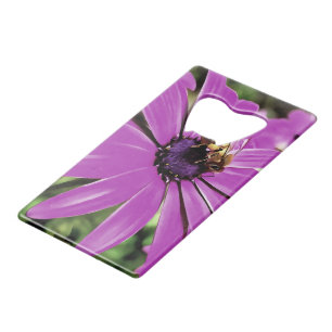 Honingbijen op een Paarse Afrikaanse Daisy Art Creditkaart Flessenopener
