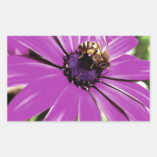 Honingbijen op een Paarse Afrikaanse Daisy Art Rechthoekige Sticker