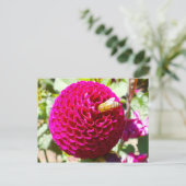 Honingbijen op een ventilator briefkaart (Staand voorkant)