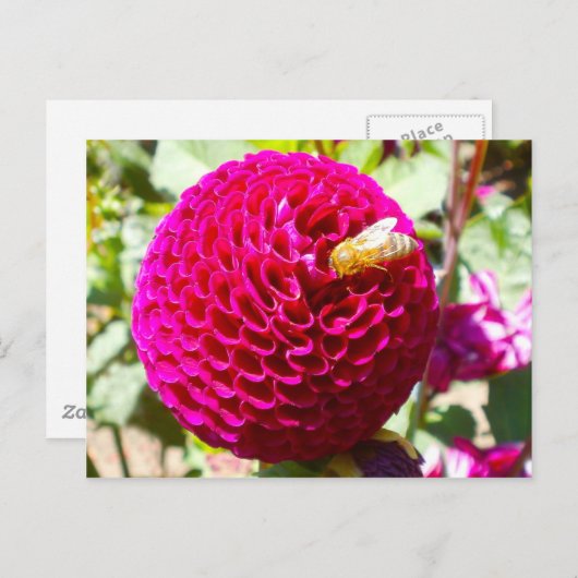 Honingbijen op een ventilator briefkaart (Voorkant / Achterkant)