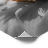 Honingbijen op een vlakke gedeeltelijke kleur poster (Hoek)