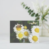 Honingbijen op Herfst Mums Briefkaart (Staand voorkant)