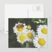 Honingbijen op Herfst Mums Briefkaart (Voorkant / Achterkant)