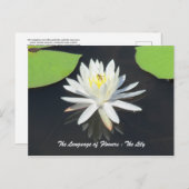 Honingbijen op het Briefkaart van de waterLily (Voorkant / Achterkant)