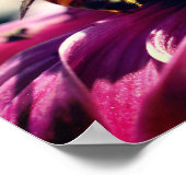 Honingbijen op hoes dicht poster (Hoek)