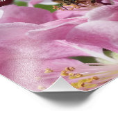 Honingbijen op krabappelbloesem met citaat foto afdruk (Hoek)