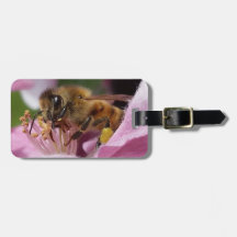 Honingbijen op krabapple Blossom jouw naam