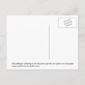 Honingbijen op krokose briefkaart (Achterkant)