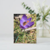 Honingbijen op krokose briefkaart (Staand voorkant)