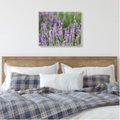 Honingbijen op Lavender Flowers Canvas Afdruk (Insitu (Slaapkamer))