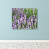Honingbijen op Lavender Flowers Canvas Afdruk (Insitu (Houten vloer))