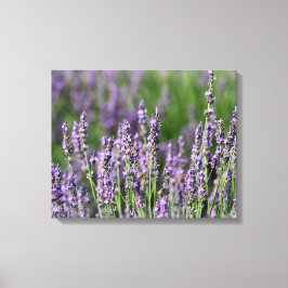 Honingbijen op Lavender Flowers Canvas Afdruk