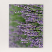 Honingbijen op Lavender Flowers Legpuzzel (Verticaal)